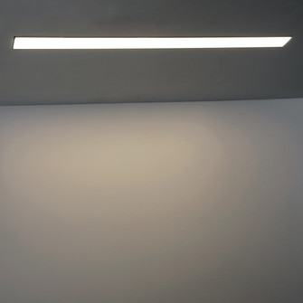 RECESSED MULTIPLE MULT,LINEAR PANEL,4FT,24W,WHT in White (40|30345-010)