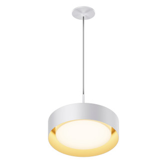 Echo LED Pendant in White/Gold (86|E51011-WTGLD)