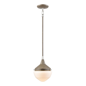 Mid Century Schoolhouse One Light Mini Pendant in Pecan (45|69274/1)