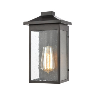 Lamplighter One Light Outdoor Wall Sconce in Matte Black (45|46700/1)