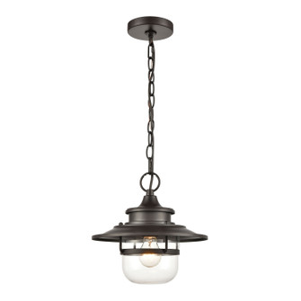 Renninger One Light Outdoor Pendant in Oil Rubbed Bronze (45|46072/1)