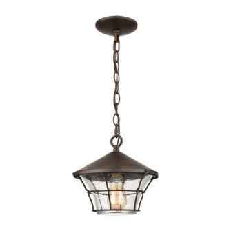 Gavin One Light Outdoor Pendant in Hazelnut Bronze (45|45512/1)