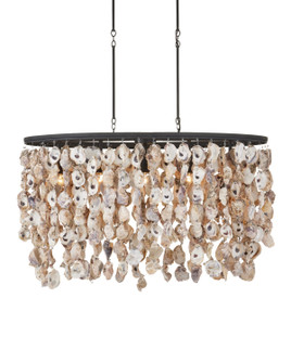 Oyster Shell Five Light Chandelier in Natural/Blacksmith (142|9492)