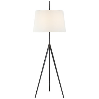 Triad One Light Floor Lamp in Aged Iron (268|S 1641AI-L)