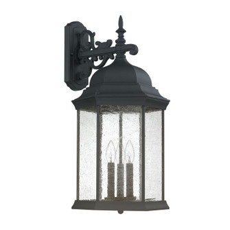 Main Street Three Light Outdoor Wall Lantern in Black (65|9838BK) Main Street Three Light Outdoor Wall Lantern in Black (65|9838BK)