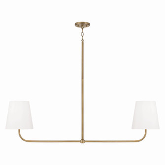 Brody Two Light Island Pendant in Aged Brass (65|849421AD)