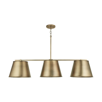 Welker Three Light Island Pendant in Aged Brass (65|837831AD)