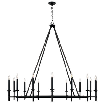 Ogden 16 Light Chandelier in Brushed Black Iron (65|445202IH)