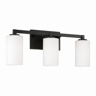 Ravenwood Three Light Vanity in Black Iron (65|119831BI-545)