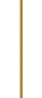 Part Stem Section in Etched Gold (326|92002-24-EG)