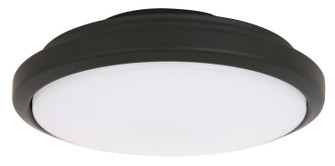 Climate III LED Light Kit in Black (457|21064401)