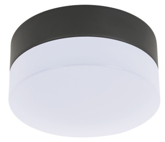 Climate Two Light Ceiling Fan Light Kit in Black (457|210254010)