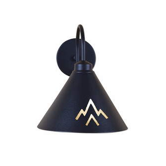 Canyon-Deception Pass One Light Wall Sconce in Black Iron (172|A52502-97)