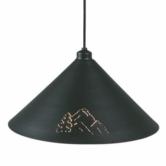 Canyon Black Iron One Light Pendant in Black Iron (172|A24345BC-97)