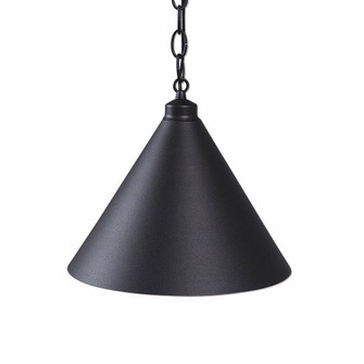 Canyon Black Iron One Light Pendant in Black Iron (172|A24201CH-97)