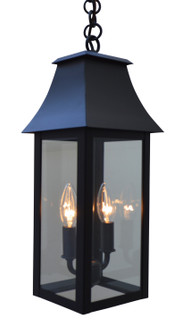 Orpington Two Light Pendant in Satin Black (37|ORH-8CLR-BK)