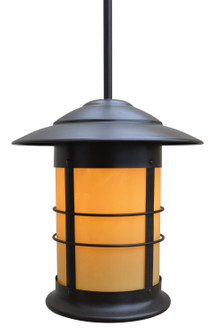 Newport One Light Pendant in Raw Copper (37|NSH-14F-RC)