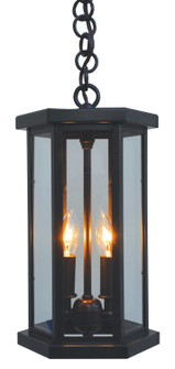 Lyon Two Light Pendant in Antique Copper (37|LYH-7DD-AC)