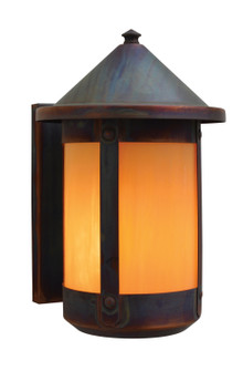 Berkeley One Light Wall Mount in Raw Copper (37|BS-7RTN-RC)