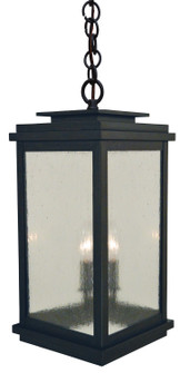 Bournemouth Two Light Pendant in Satin Black (37|BOH-8CLR-BK)