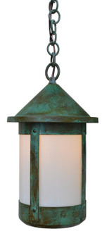 Berkeley One Light Pendant in Verdigris Patina (37|BH-14TLWO-VP)