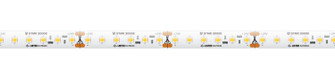 Standard Grade Max Run LED Tape Light in White (303|STMR-30-65)