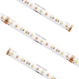 Spec Grade Tape Light in White (303|SPTL-TW)