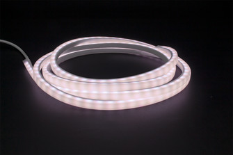 Microlux 16.4Ft Reel in White (303|MLUX-40)
