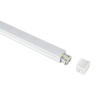 Microlink End Cap in Transparent (303|MLINK-END)