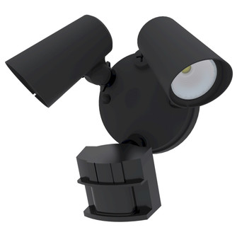 Fora Security Light in Black (303|FL2-3CCT-BK)