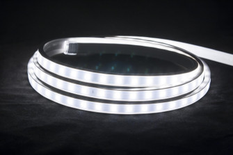 Hybrid Linear Until Cut in White (303|120-H2-WH)
