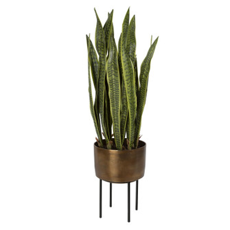 Fasita Planter 2 Cartons in Antique Brass (52|60185)