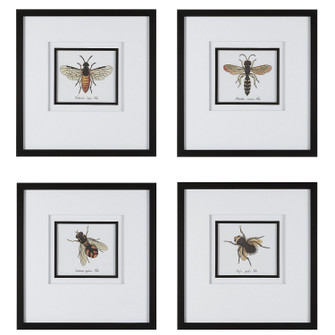 Anthophila Framed Prints in Black (52|41428)