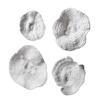 Sea Coral Wall Art in Antique White (52|20170)