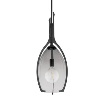 Pacifica One Light Pendant in Forged Iron (67|F8313-FOR)