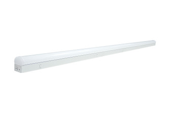 LED Linear Strip Light in White (72|65-702)