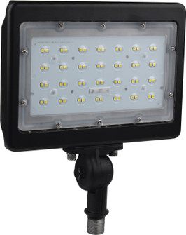LED Flood Light in Bronze (72|65-537)