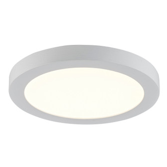 Palomino LED Disk in White (110|LED-40095 WH)