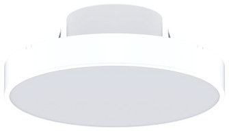 Nieve Ceiling Light in White (303|NV5-30-WH)