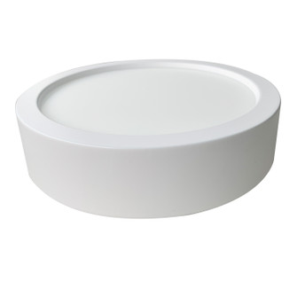 Flush Mounts - Bowl Style (110|BNK-LED-30097WH)