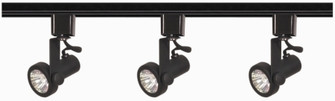 Track Lighting Kits Black Three Light Track Kit in Black (72|TK352)