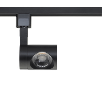 LED Track Head in Black (72|TH444)