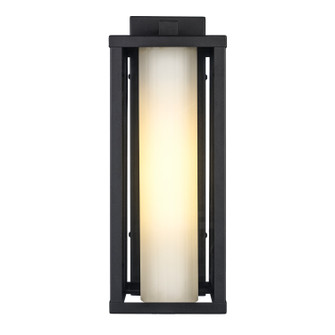 Adler One Light Outdoor Wall Mount in Black (110|51461 BK)