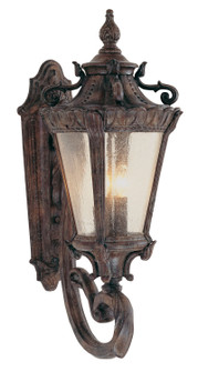 Heritage Four Light Wall Lantern in Patina (110|4840 PA)