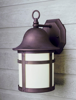 Thomas One Light Wall Lantern in Weathered Bronze (110|4580 WB)
