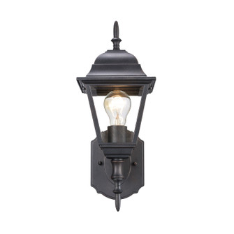 Argyle One Light Wall Lantern in Rust (110|4412 RT)