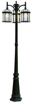 Wentworth Three Light Pole Light in Black (110|4189 BK)