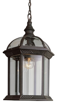 Wentworth One Light Hanging Lantern in Black (110|4183 BK)