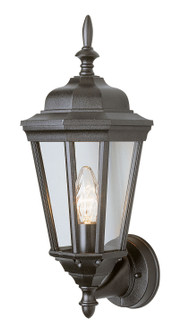 San Rafael One Light Wall Lantern in Black (110|4095 BK)