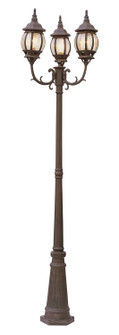 Parkway Three Light Pole Light in Rust (110|4090 RT)